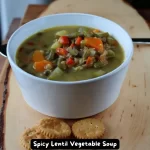 Bowl of Spicy Lentil Vegetable Soup with vegetables