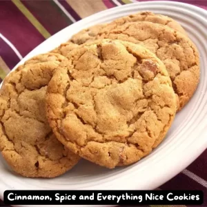 A plate of freshly baked cinnamon spice cookies with a crackled top.