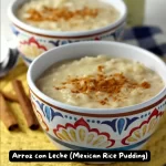 A bowl of traditional Mexican Arroz con Leche topped with ground cinnamon